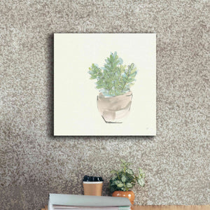 'Succulent II' by Chris Paschke, Giclee Canvas Wall Art,18 x 18
