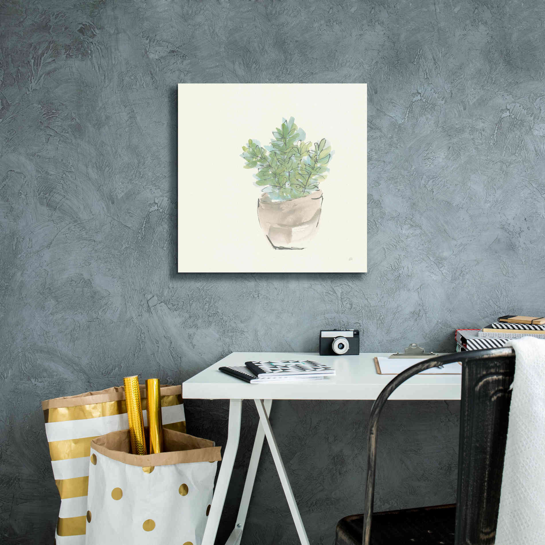 'Succulent II' by Chris Paschke, Giclee Canvas Wall Art,18 x 18