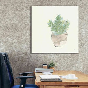 'Succulent II' by Chris Paschke, Giclee Canvas Wall Art,37 x 37