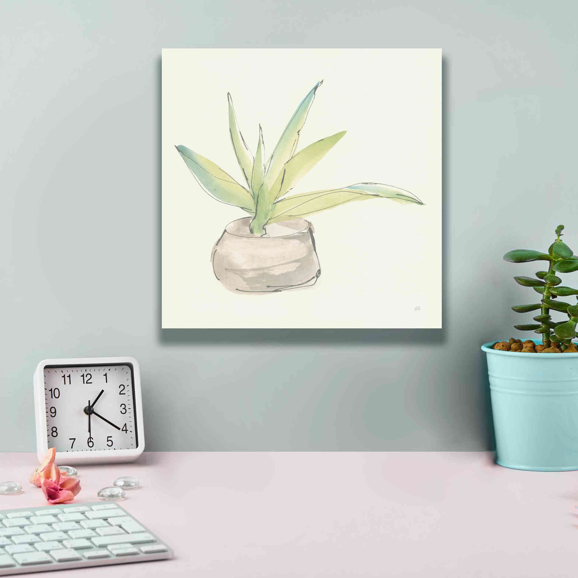 'Succulent III' by Chris Paschke, Giclee Canvas Wall Art,12 x 12