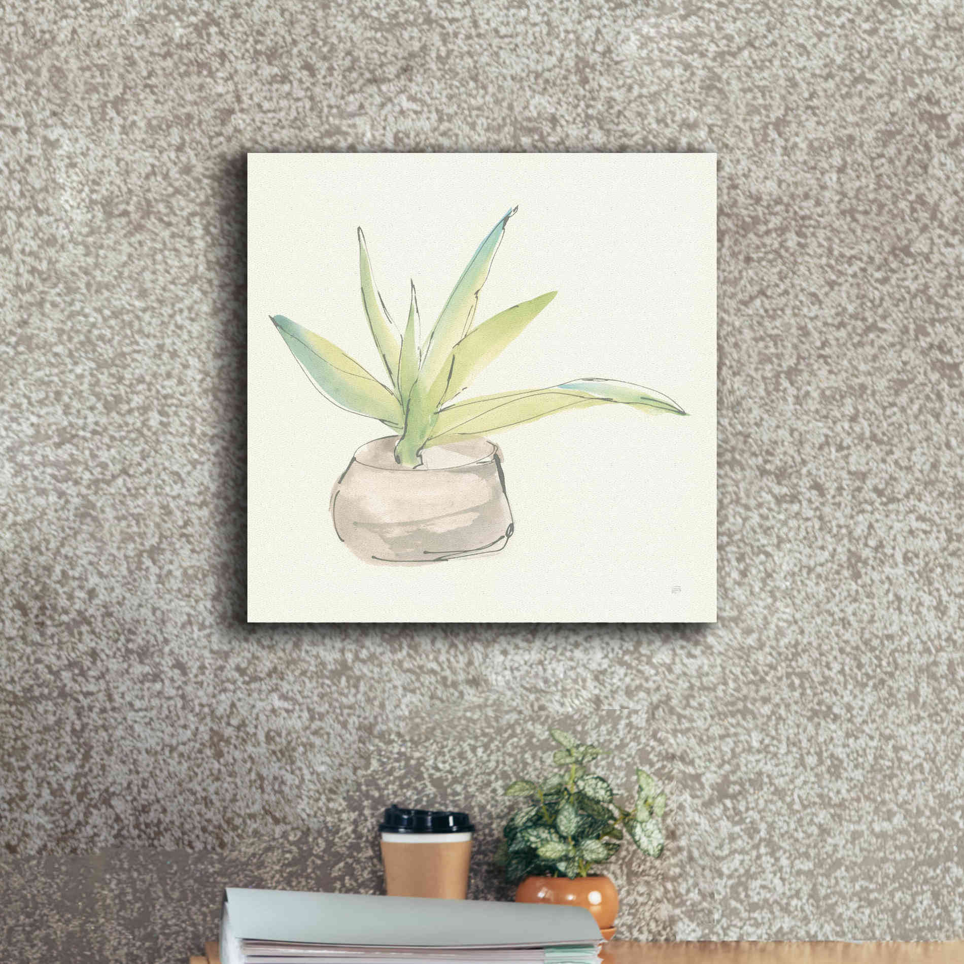 'Succulent III' by Chris Paschke, Giclee Canvas Wall Art,18 x 18