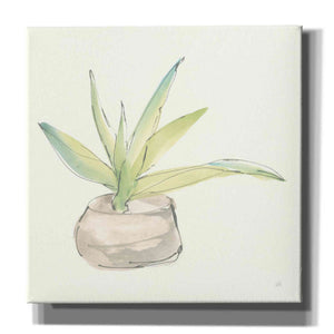 'Succulent III' by Chris Paschke, Giclee Canvas Wall Art