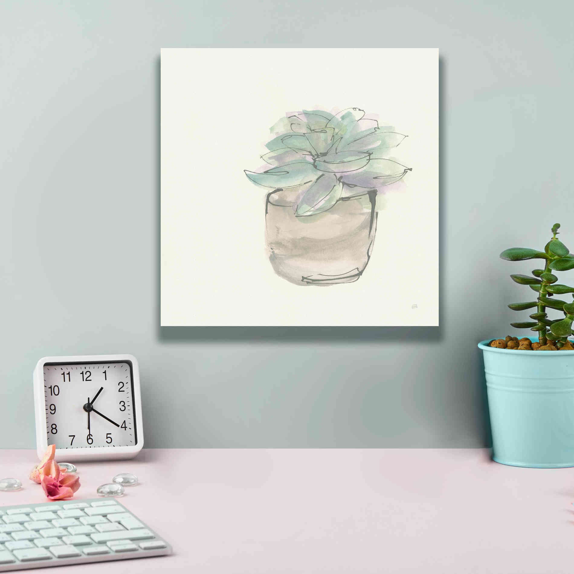 'Succulent IV' by Chris Paschke, Giclee Canvas Wall Art,12 x 12