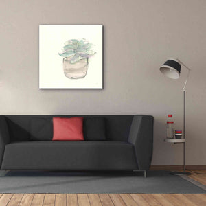 'Succulent IV' by Chris Paschke, Giclee Canvas Wall Art,37 x 37