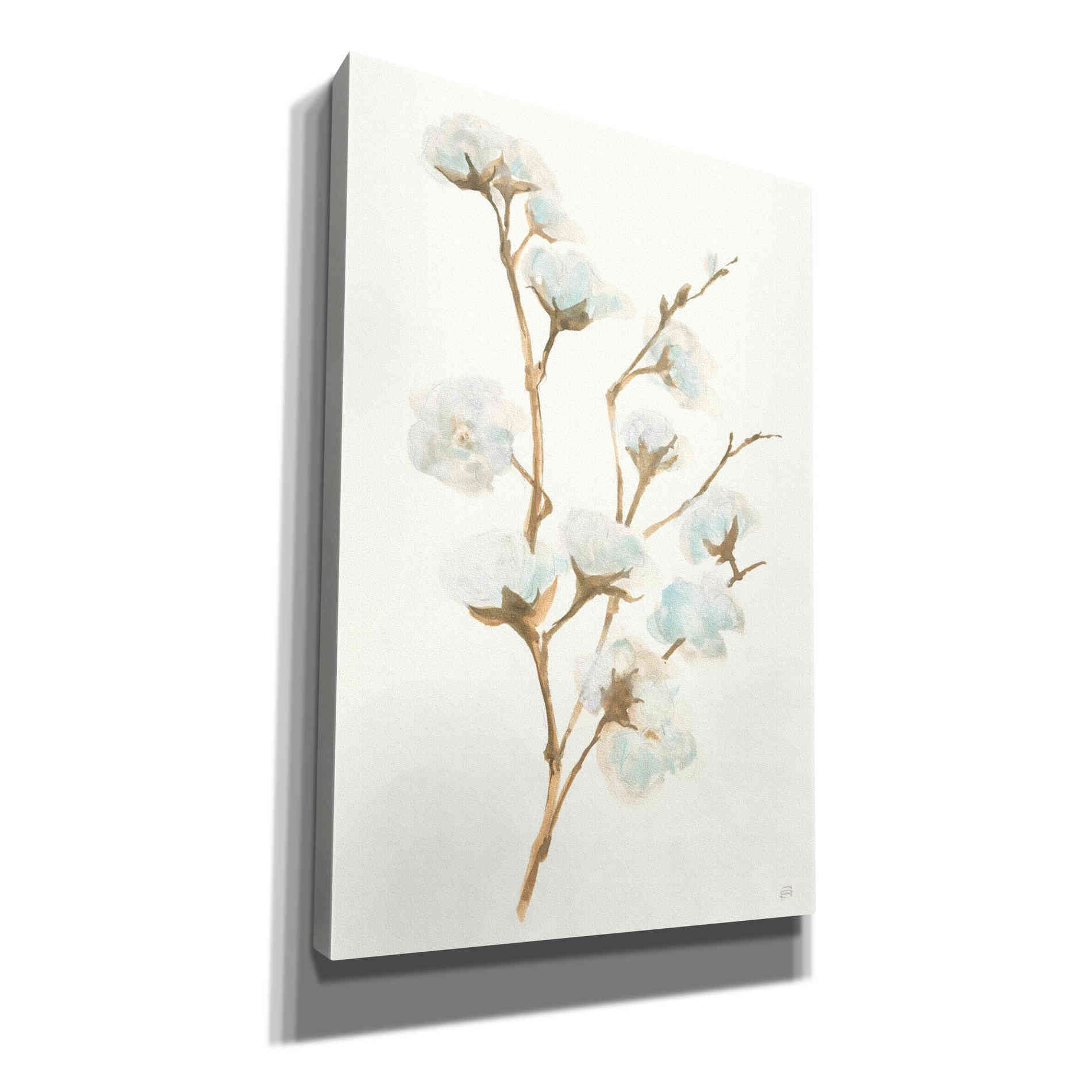 'Summer Cotton I' by Chris Paschke, Giclee Canvas Wall Art