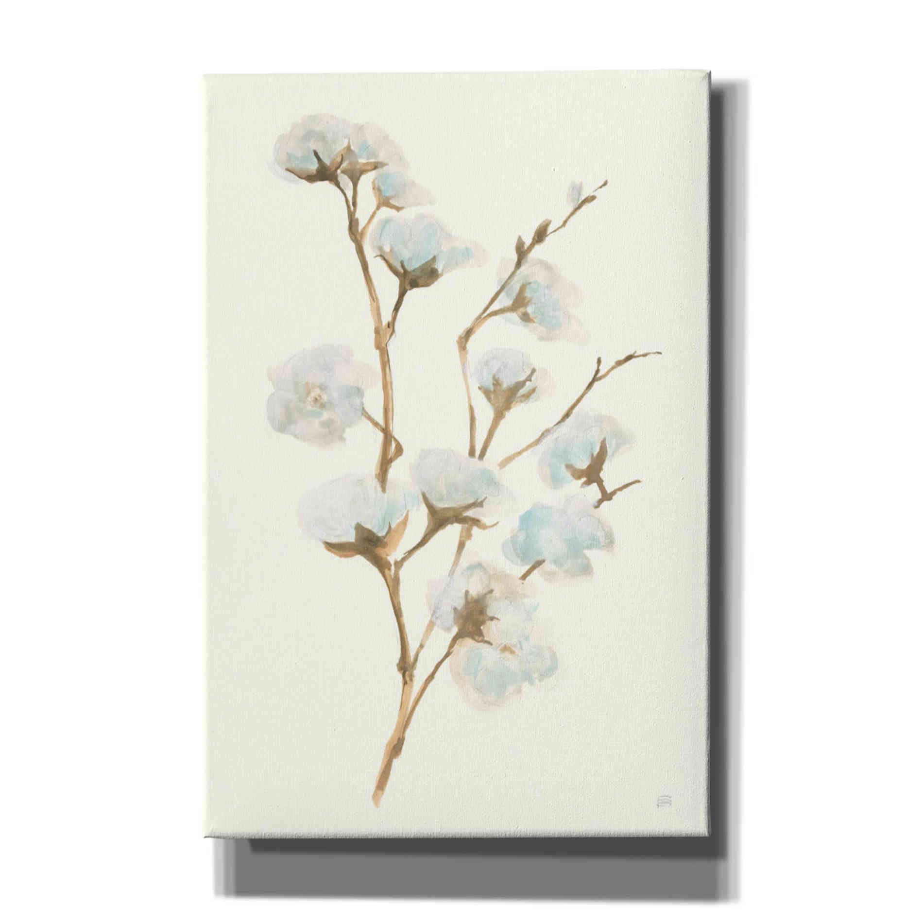 'Summer Cotton I' by Chris Paschke, Giclee Canvas Wall Art