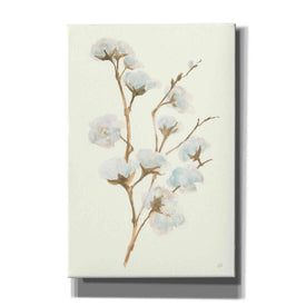 'Summer Cotton I' by Chris Paschke, Giclee Canvas Wall Art