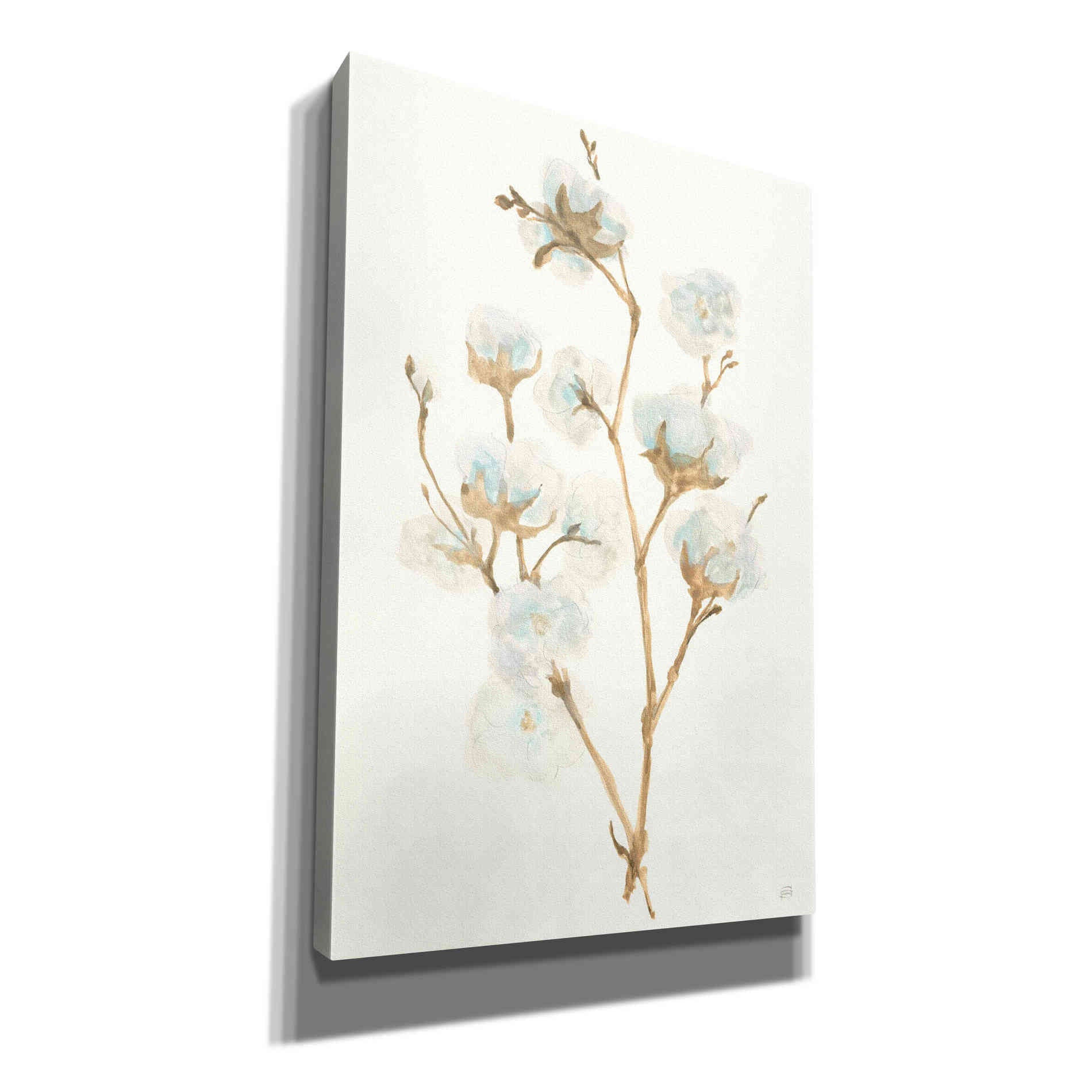 'Summer Cotton II' by Chris Paschke, Giclee Canvas Wall Art