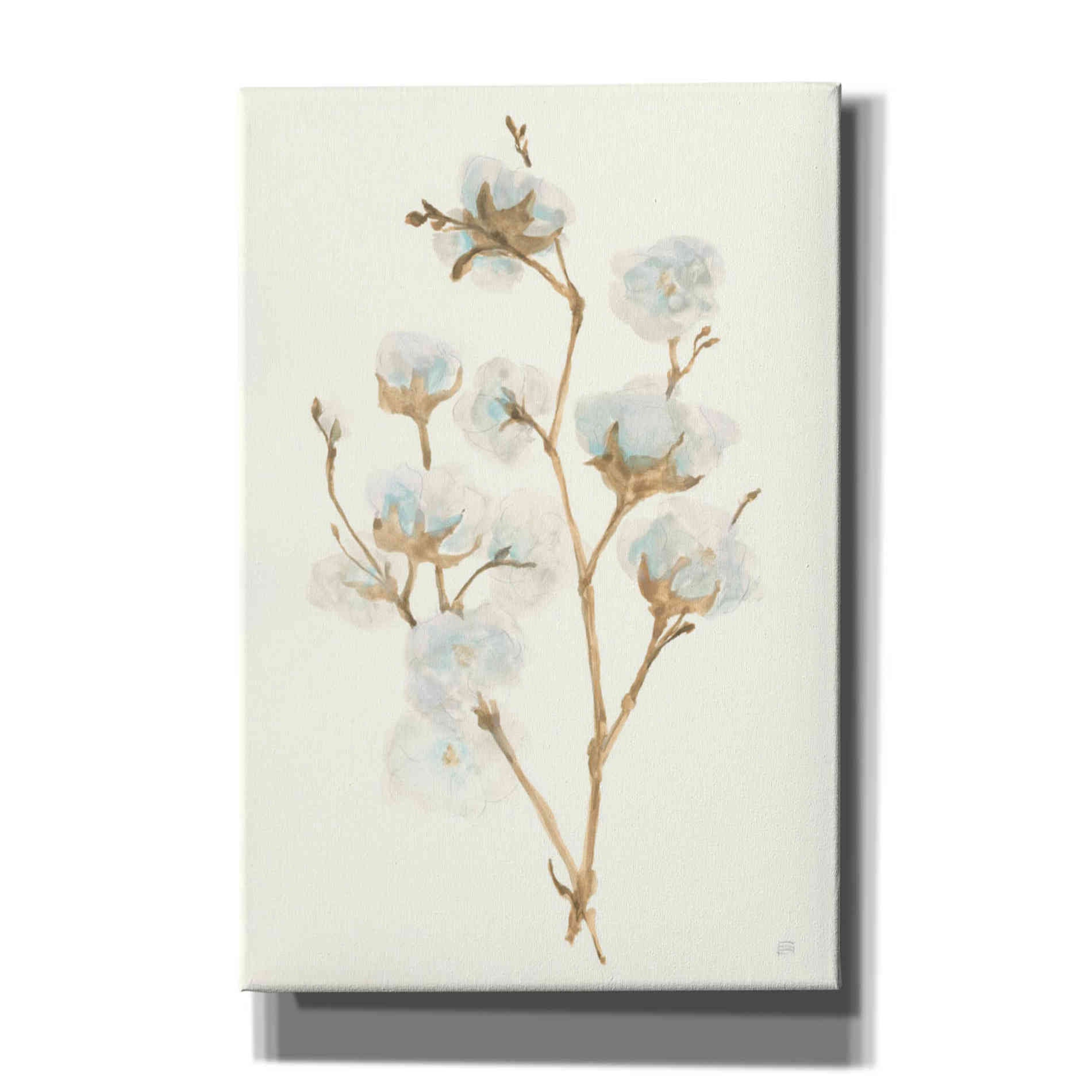 'Summer Cotton II' by Chris Paschke, Giclee Canvas Wall Art