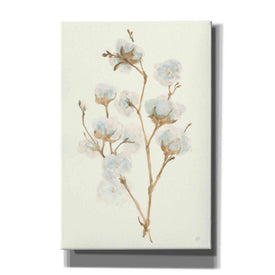 'Summer Cotton II' by Chris Paschke, Giclee Canvas Wall Art