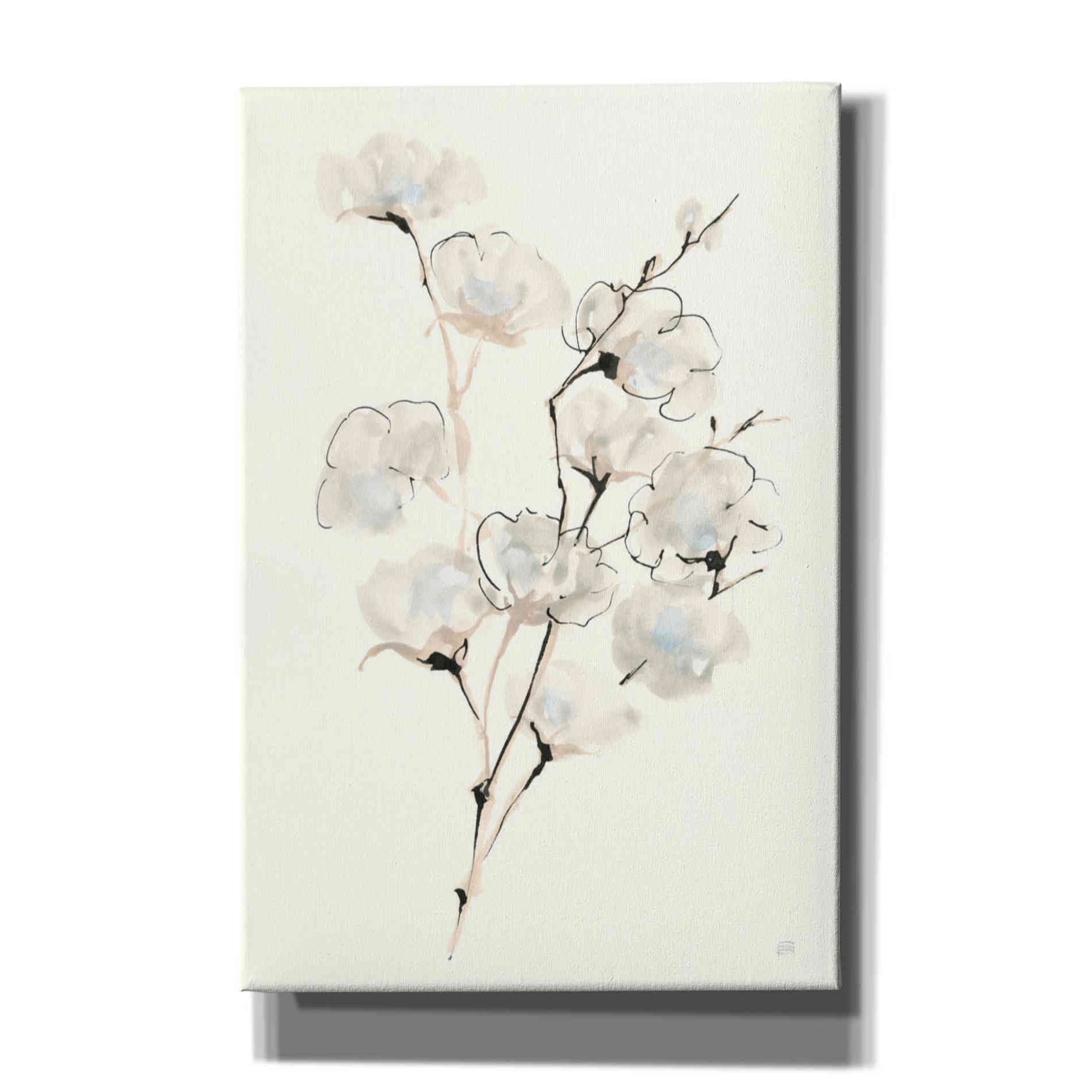 'Summer Cotton III' by Chris Paschke, Giclee Canvas Wall Art