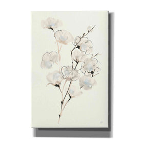 'Summer Cotton III' by Chris Paschke, Giclee Canvas Wall Art