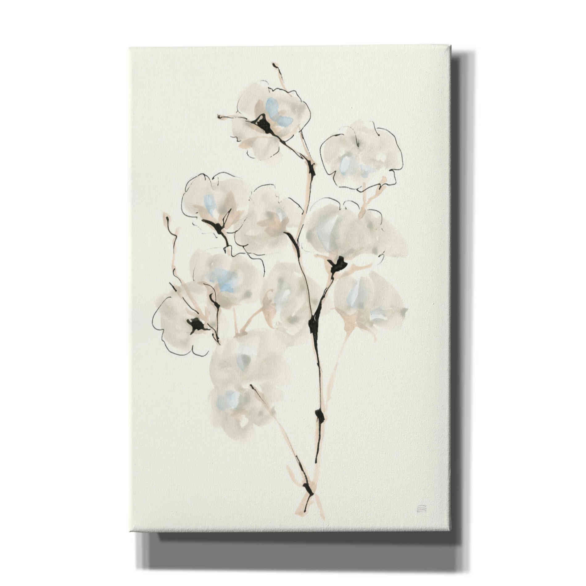 'Summer Cotton IV' by Chris Paschke, Giclee Canvas Wall Art