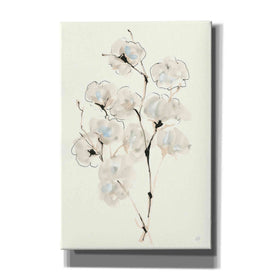 'Summer Cotton IV' by Chris Paschke, Giclee Canvas Wall Art