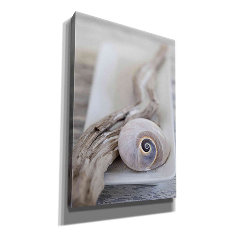 Image of 'Zen Style Beach Still' by Andrea Haase, Giclee Canvas Wall Art