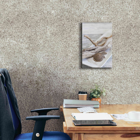 Image of 'Zen Style Driftwood Seashell Still' by Andrea Haase, Giclee Canvas Wall Art,12 x 18