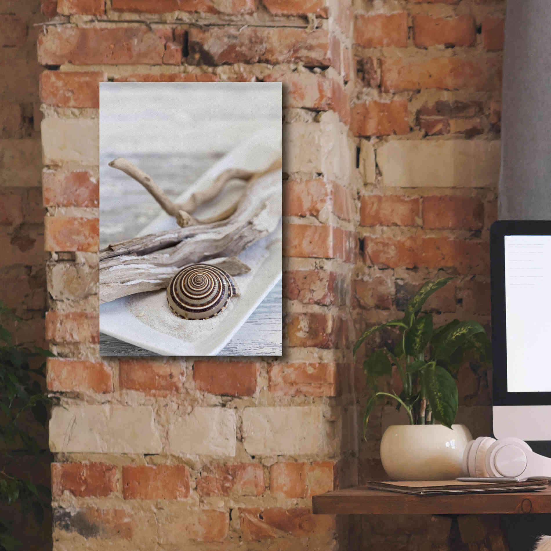 'Zen Style Driftwood Seashell Still' by Andrea Haase, Giclee Canvas Wall Art,12 x 18
