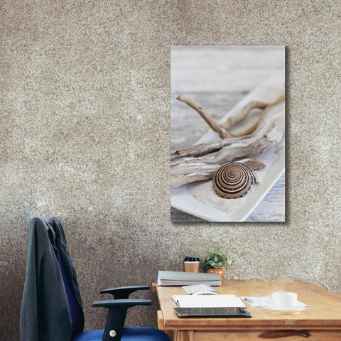 Image of 'Zen Style Driftwood Seashell Still' by Andrea Haase, Giclee Canvas Wall Art,26 x 40