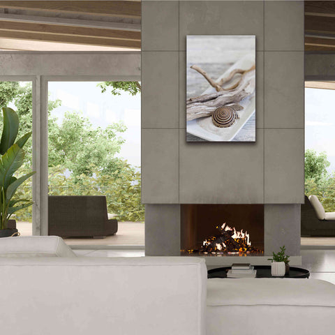 Image of 'Zen Style Driftwood Seashell Still' by Andrea Haase, Giclee Canvas Wall Art,26 x 40
