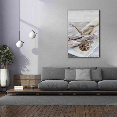 Image of 'Zen Style Driftwood Seashell Still' by Andrea Haase, Giclee Canvas Wall Art,40 x 60