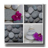 'Zen Orchid Collage' by Andrea Haase, Giclee Canvas Wall Art