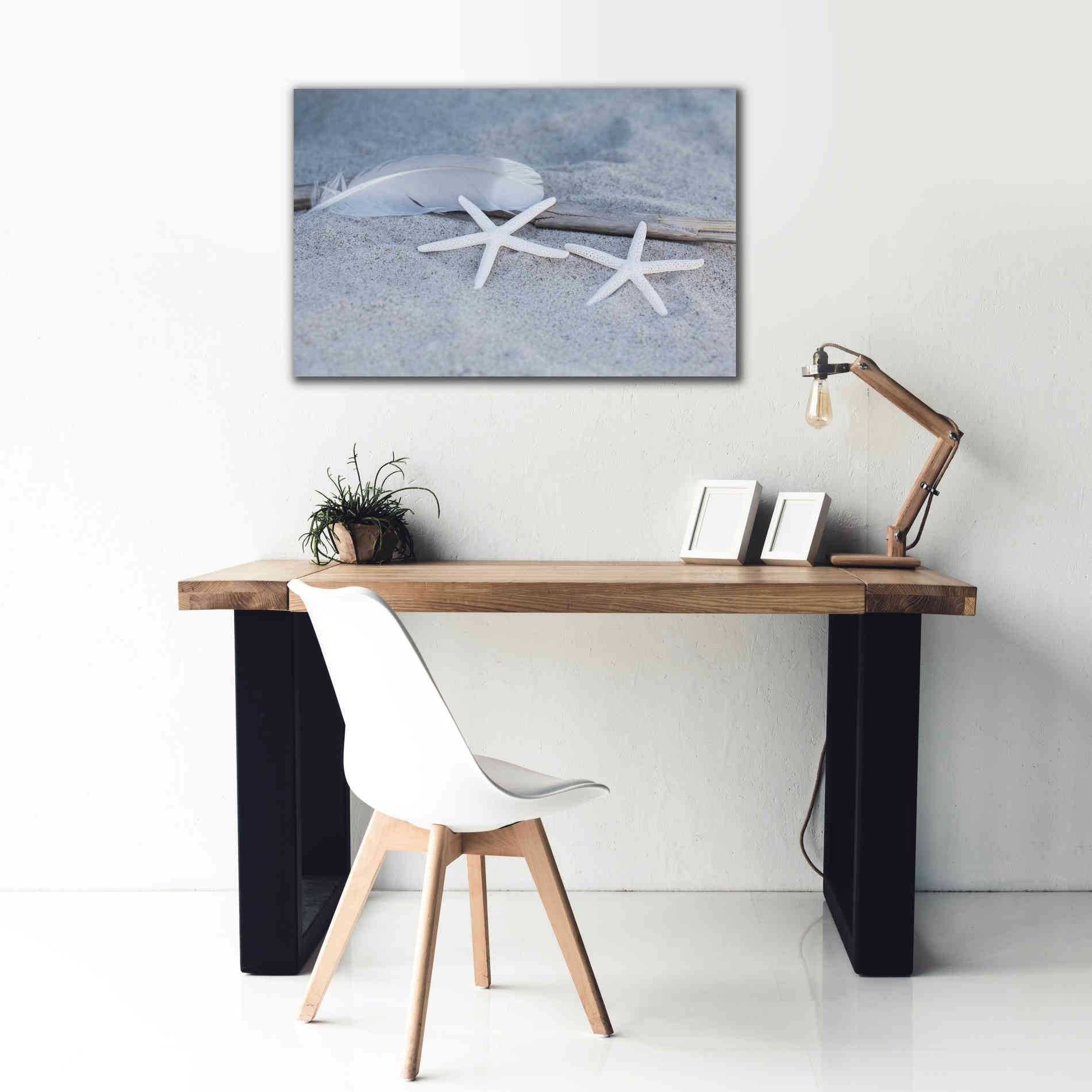 'Starfish Feather Beach Still' by Andrea Haase, Giclee Canvas Wall Art,40 x 26
