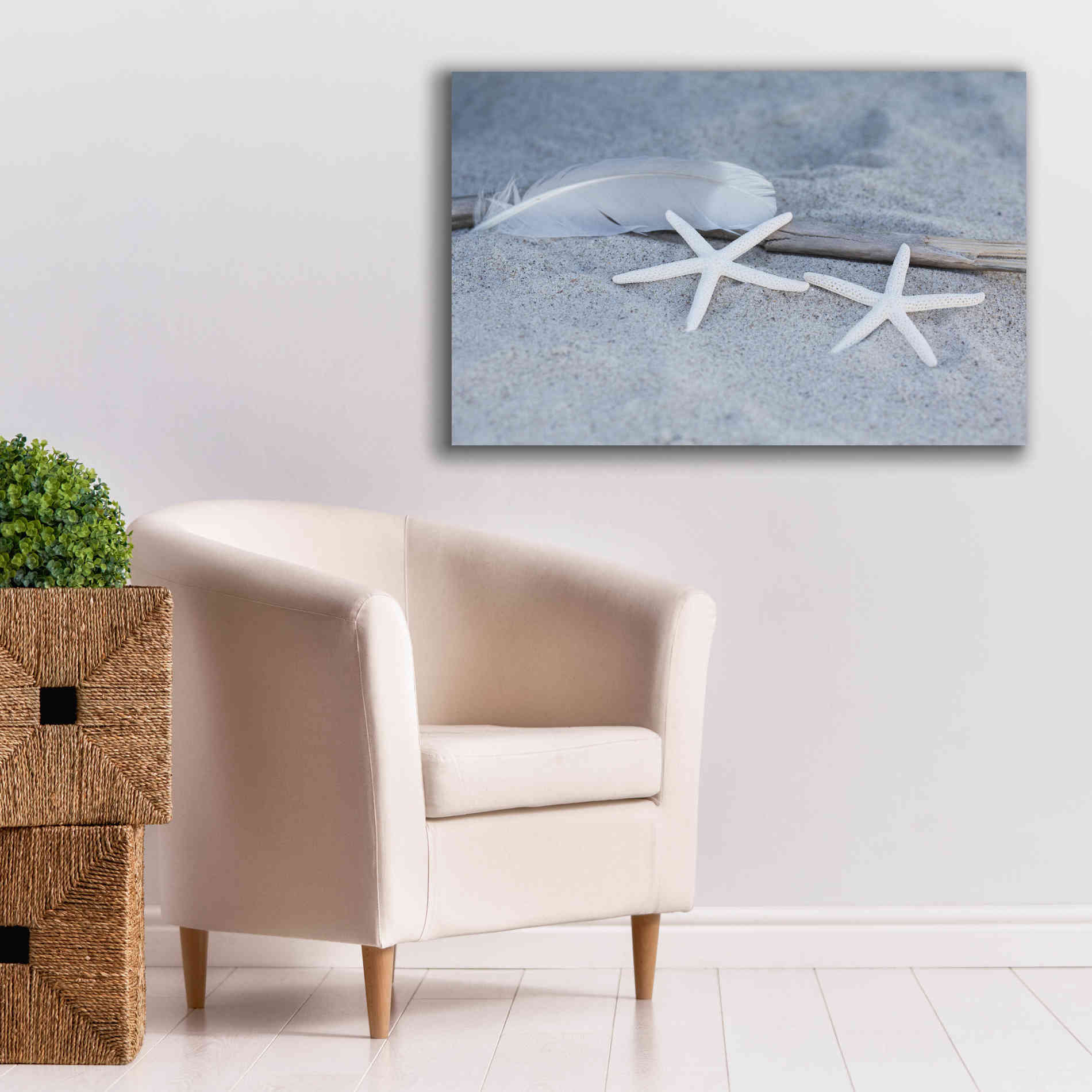 'Starfish Feather Beach Still' by Andrea Haase, Giclee Canvas Wall Art,40 x 26
