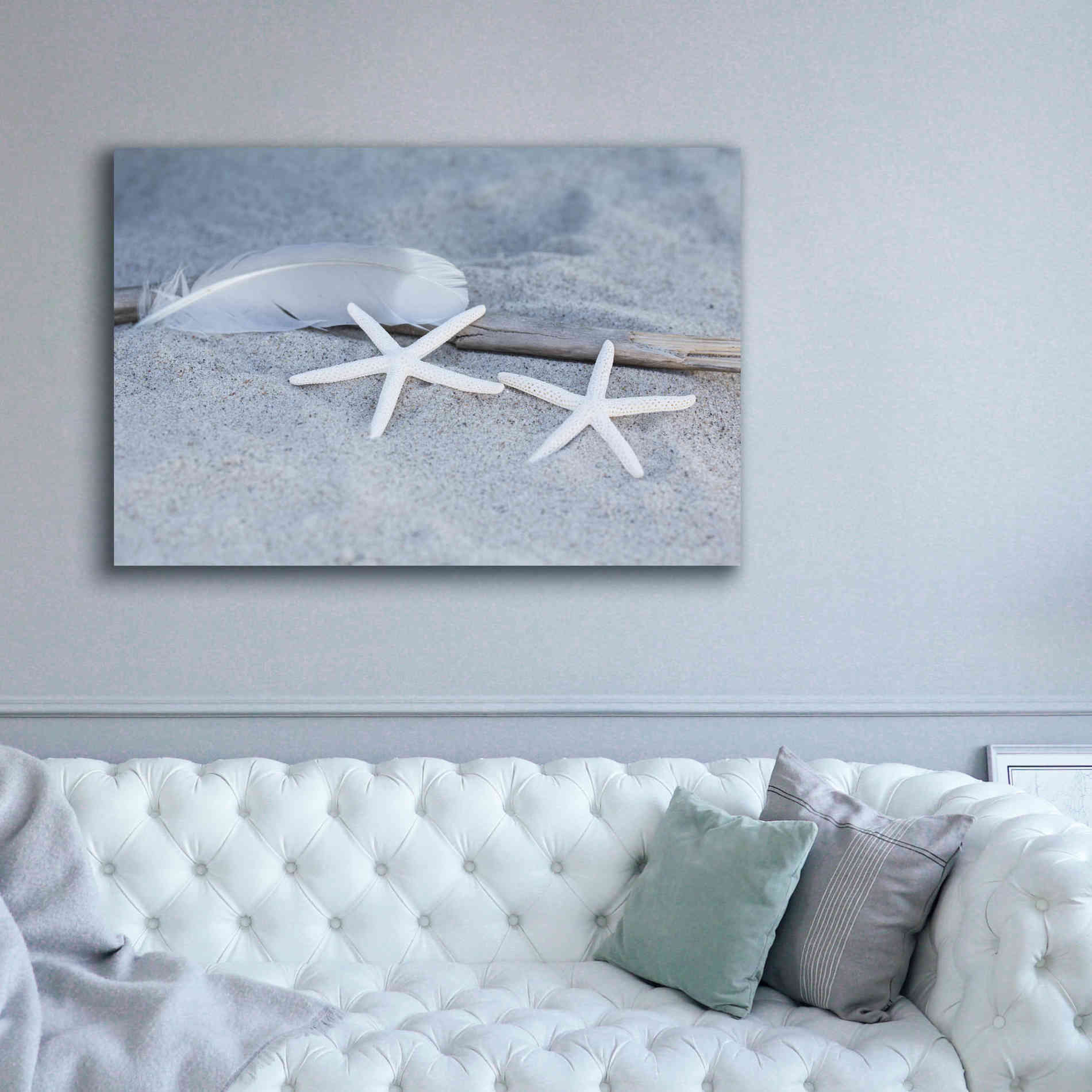 'Starfish Feather Beach Still' by Andrea Haase, Giclee Canvas Wall Art,60 x 40