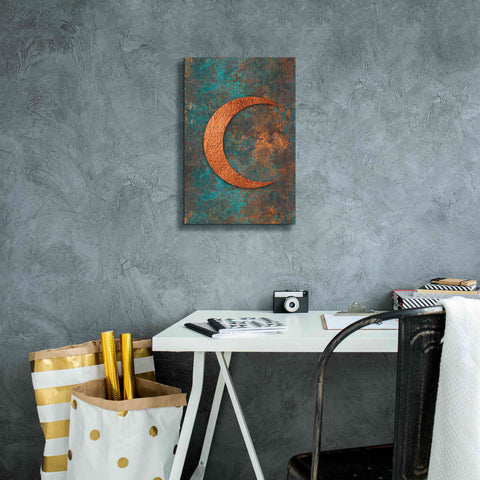 Image of 'Moon Symbiosis Of Rust And Copper' by Andrea Haase, Giclee Canvas Wall Art,12 x 18