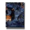 'Nightscape Adventure' by Andrea Haase, Giclee Canvas Wall Art