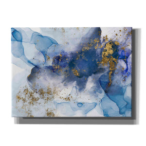 'Alcohol Ink Fantasy VI' by Andrea Haase Giclee Canvas Wall Art