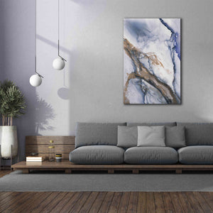 'Alcohol Ink Fantasy III' by Andrea Haase Giclee Canvas Wall Art,40 x 60