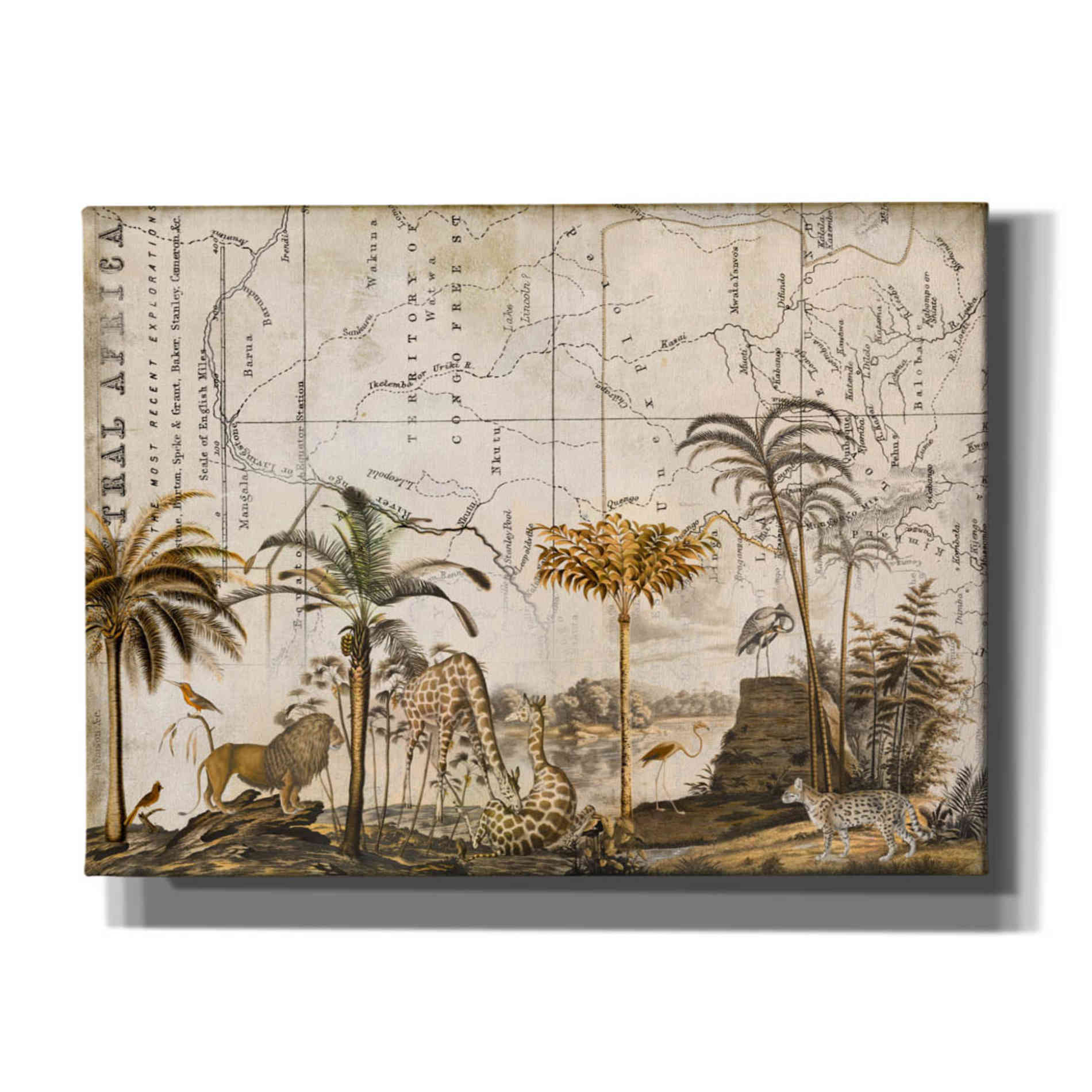 'Wild Animals Paradise Brown' by Andrea Haase Giclee Canvas Wall Art