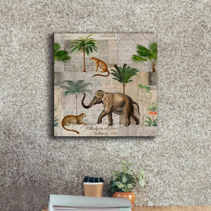 'The Magic Of Africa' by Andrea Haase Giclee Canvas Wall Art,18 x 18