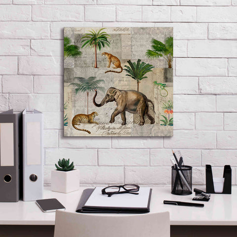 Image of 'The Magic Of Africa' by Andrea Haase Giclee Canvas Wall Art,18 x 18