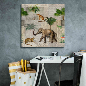 'The Magic Of Africa' by Andrea Haase Giclee Canvas Wall Art,26 x 26