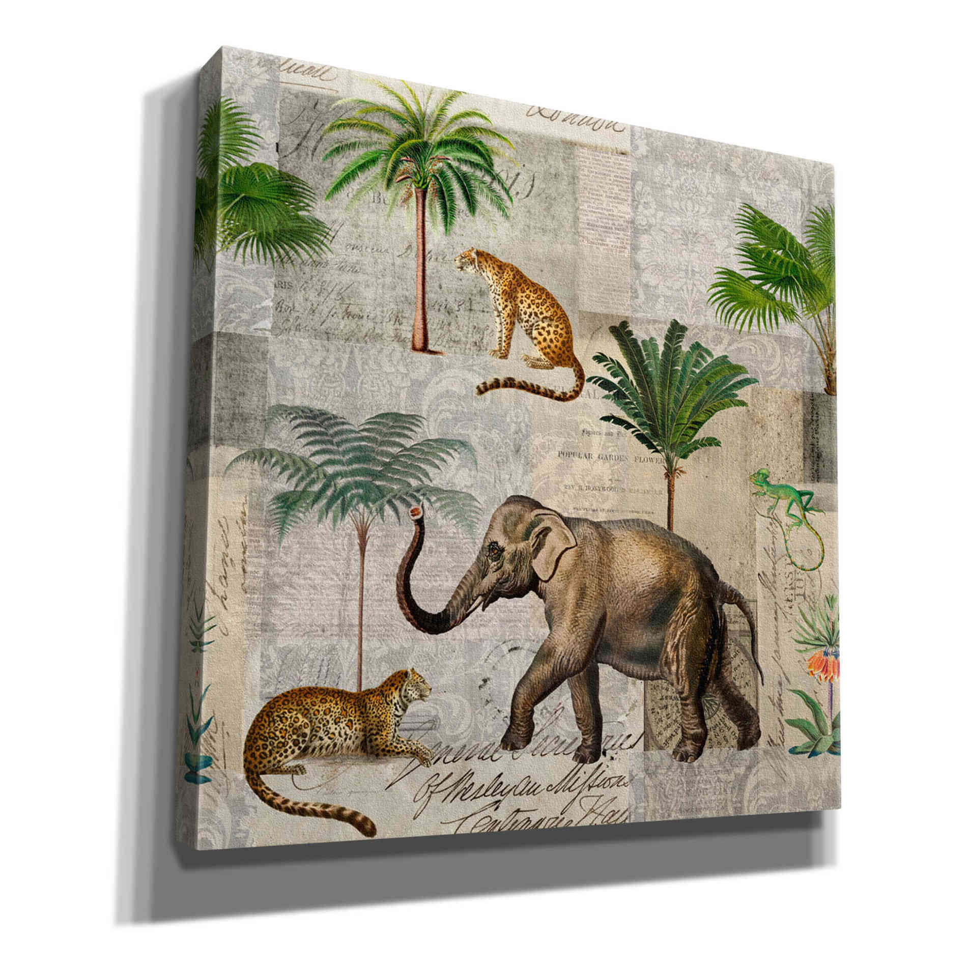 'The Magic Of Africa' by Andrea Haase Giclee Canvas Wall Art