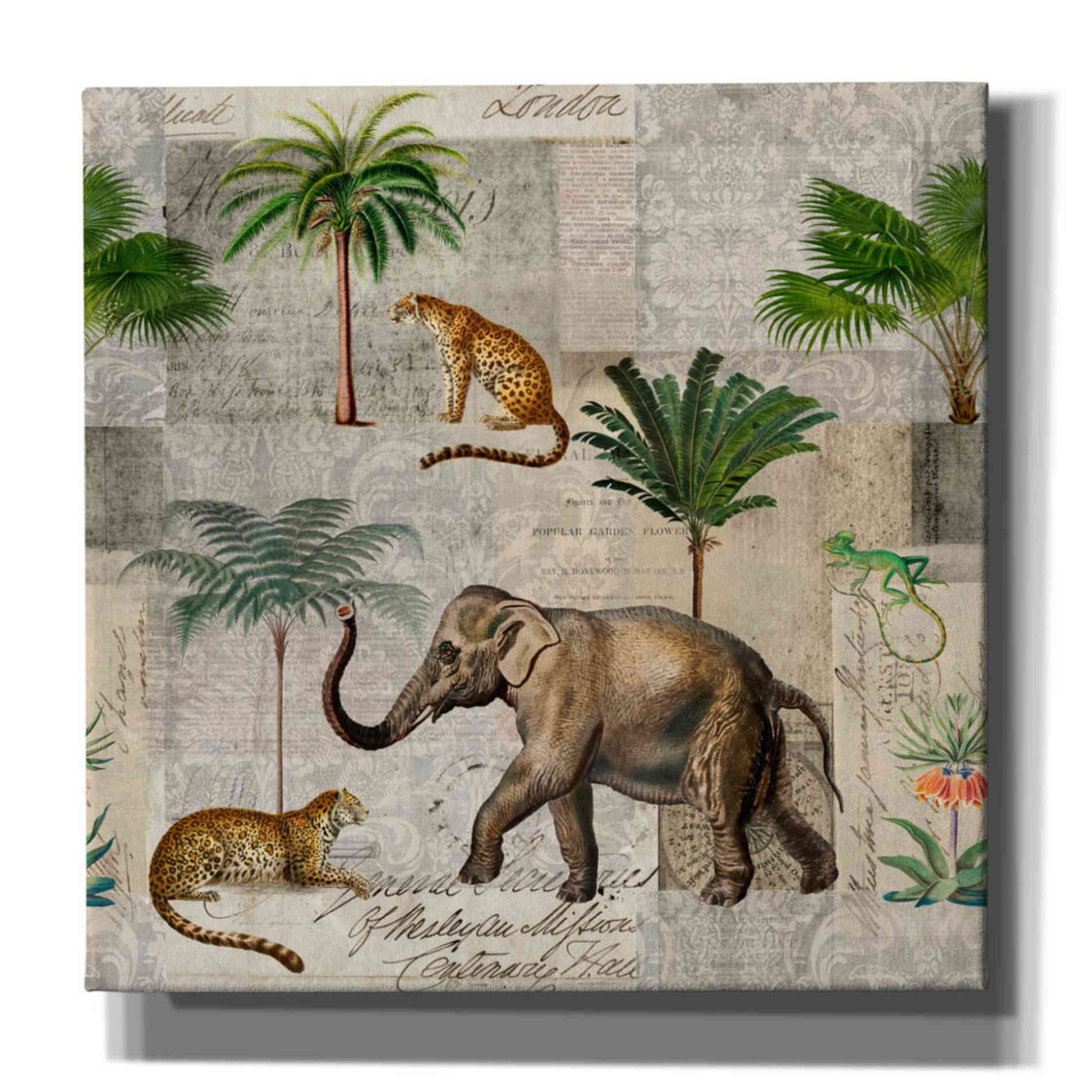 'The Magic Of Africa' by Andrea Haase Giclee Canvas Wall Art