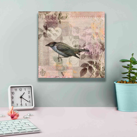 Image of 'Nostalgic Bird Collage' by Andrea Haase Giclee Canvas Wall Art,12 x 12