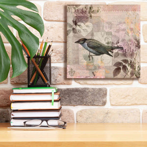 'Nostalgic Bird Collage' by Andrea Haase Giclee Canvas Wall Art,12 x 12