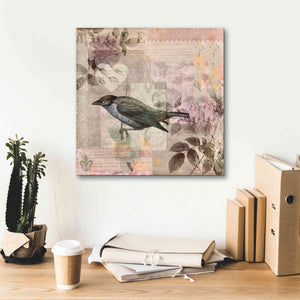 'Nostalgic Bird Collage' by Andrea Haase Giclee Canvas Wall Art,18 x 18