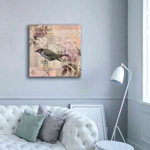 'Nostalgic Bird Collage' by Andrea Haase Giclee Canvas Wall Art,37 x 37
