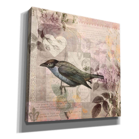 Image of 'Nostalgic Bird Collage' by Andrea Haase Giclee Canvas Wall Art