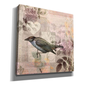 'Nostalgic Bird Collage' by Andrea Haase Giclee Canvas Wall Art