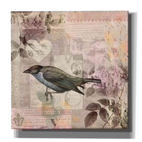 Image of 'Nostalgic Bird Collage' by Andrea Haase Giclee Canvas Wall Art