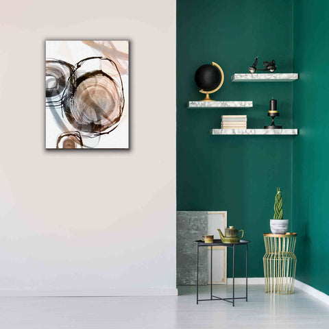Image of 'Story Of Escape Brown' by Andrea Haase Giclee Canvas Wall Art,26 x 34