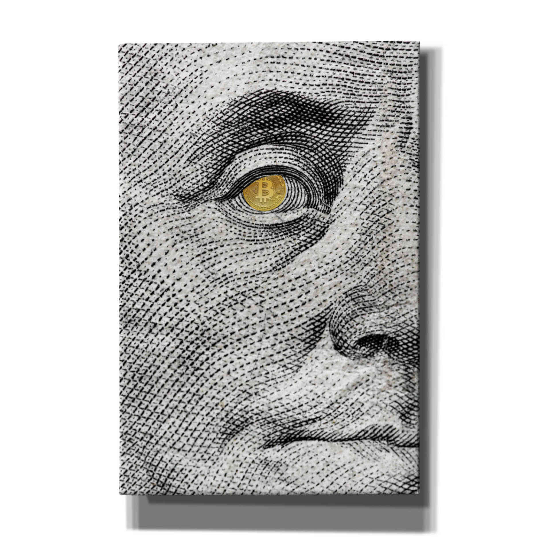 'Money Rules The World' by Andrea Haase Giclee Canvas Wall Art