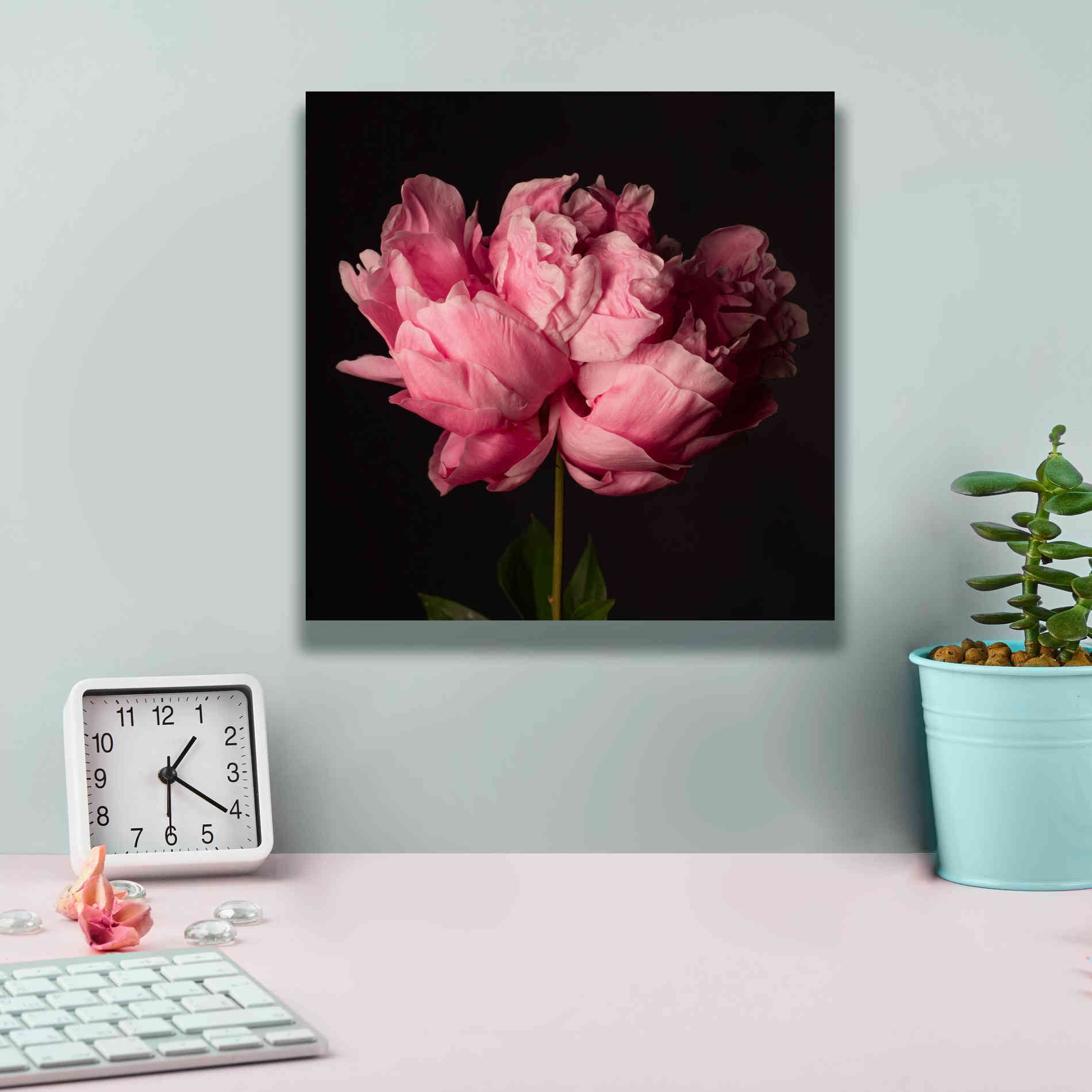 'Perfect Peony' by Leah McLean Giclee Canvas Wall Art,12 x 12