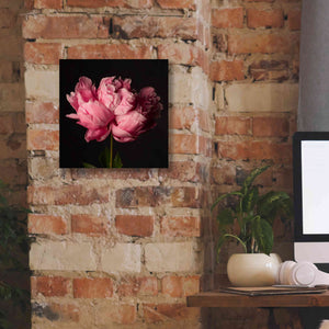 'Perfect Peony' by Leah McLean Giclee Canvas Wall Art,12 x 12