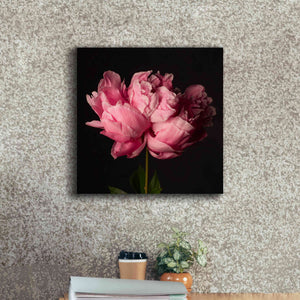 'Perfect Peony' by Leah McLean Giclee Canvas Wall Art,18 x 18